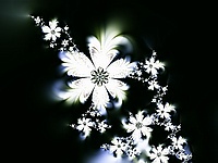 Fractal Software